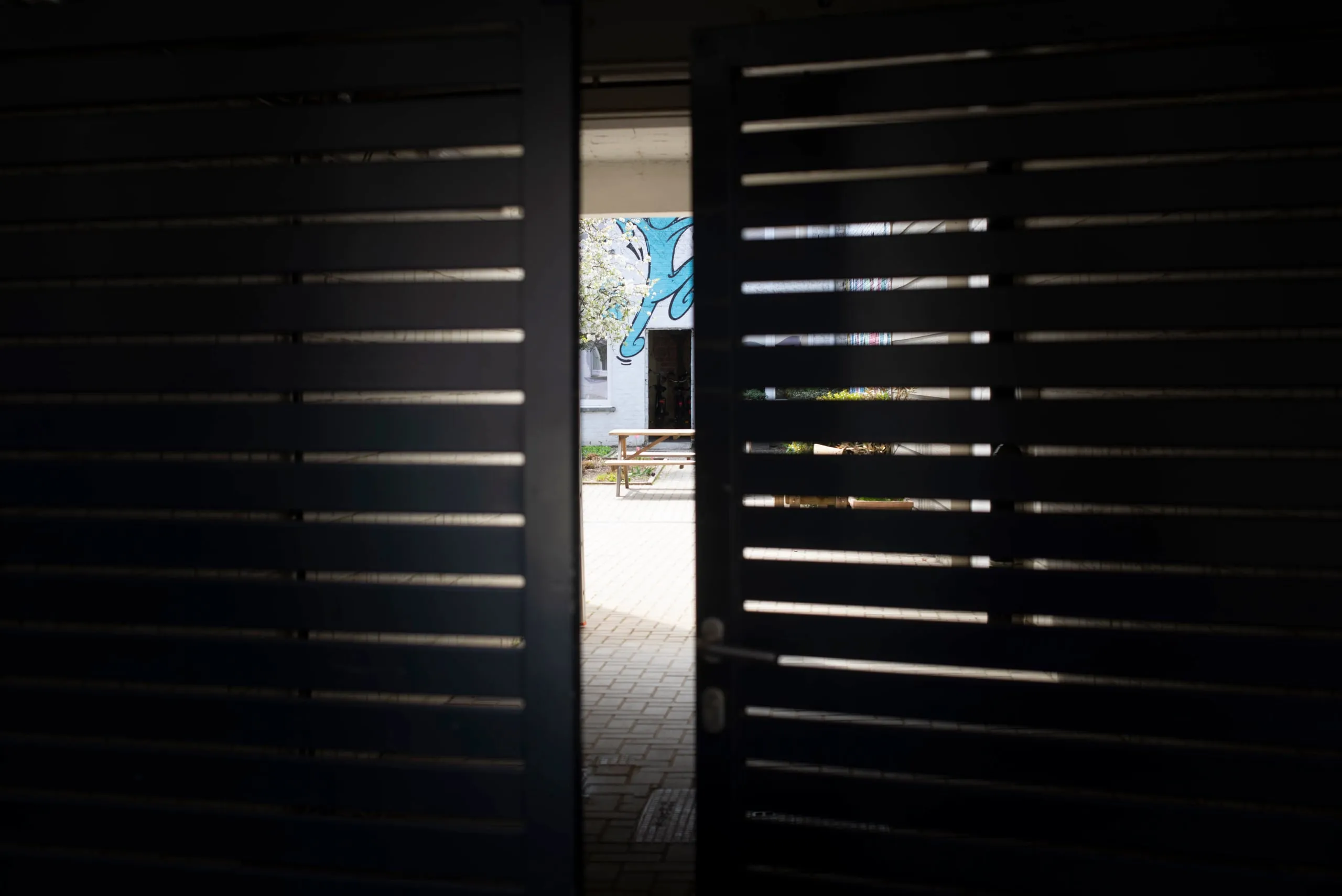 Dark wooden slatted gate ajar, with a courtyard and graffiti behind it