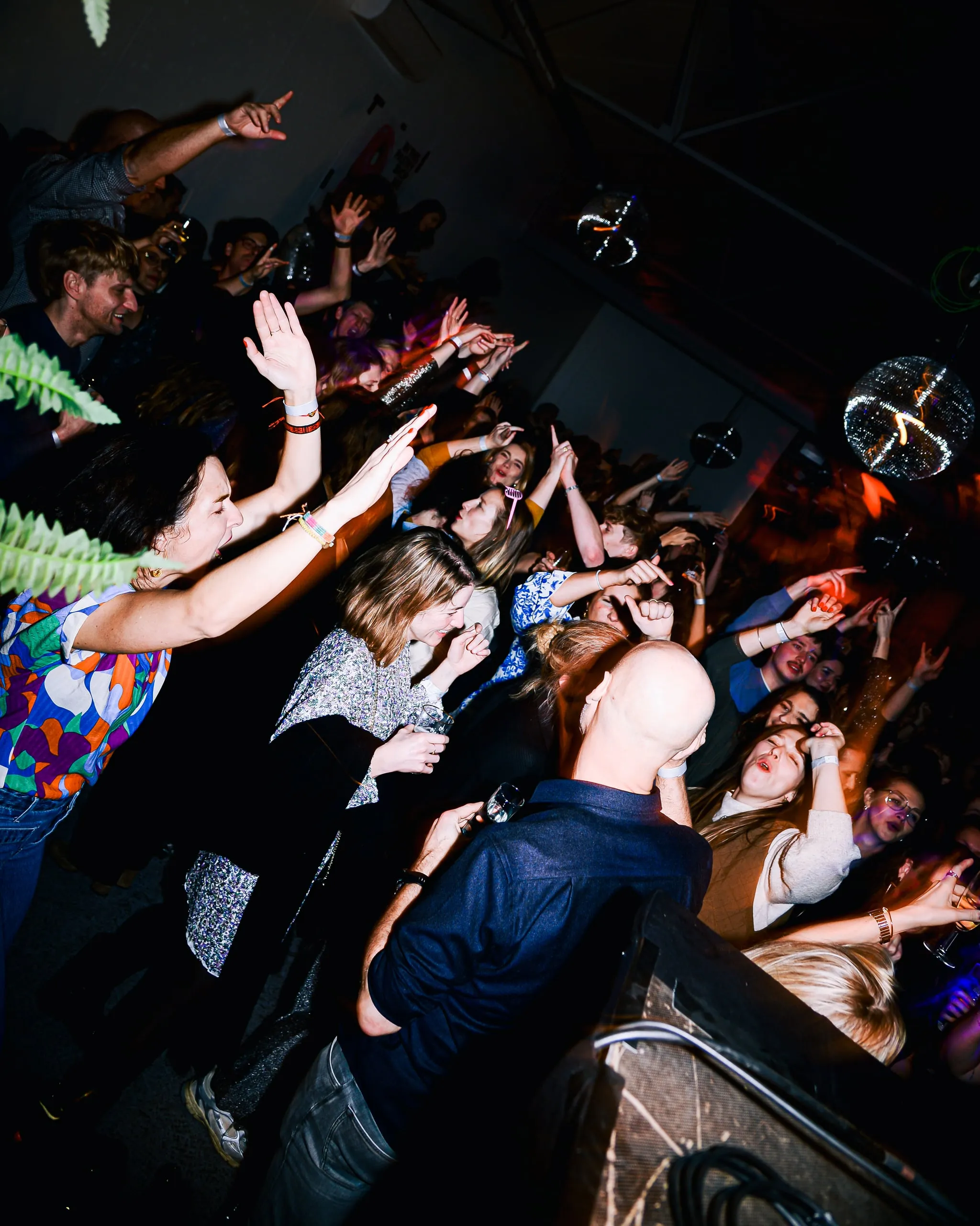 Dancing crowd with raised arms, with ferns in the decor